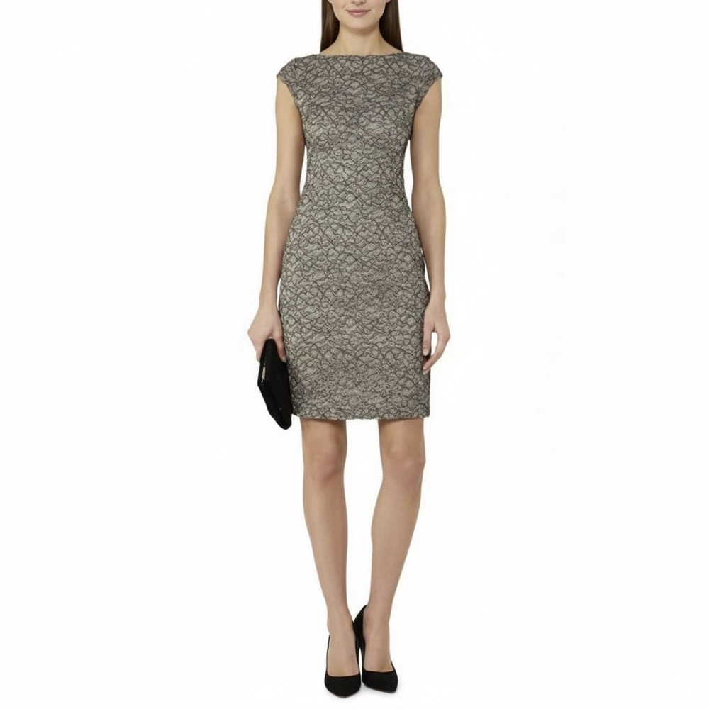 Reiss Ayda Sheath Lace Dress Women‎ 4 Taupe Gray Cap Sleeve Short Length Event